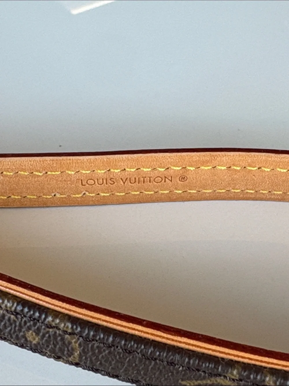 Louis Vuitton accessory france